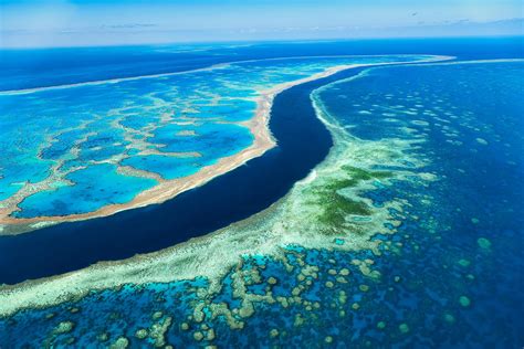 Exploring the Great Barrier Reef: An Adventure of a Lifetime